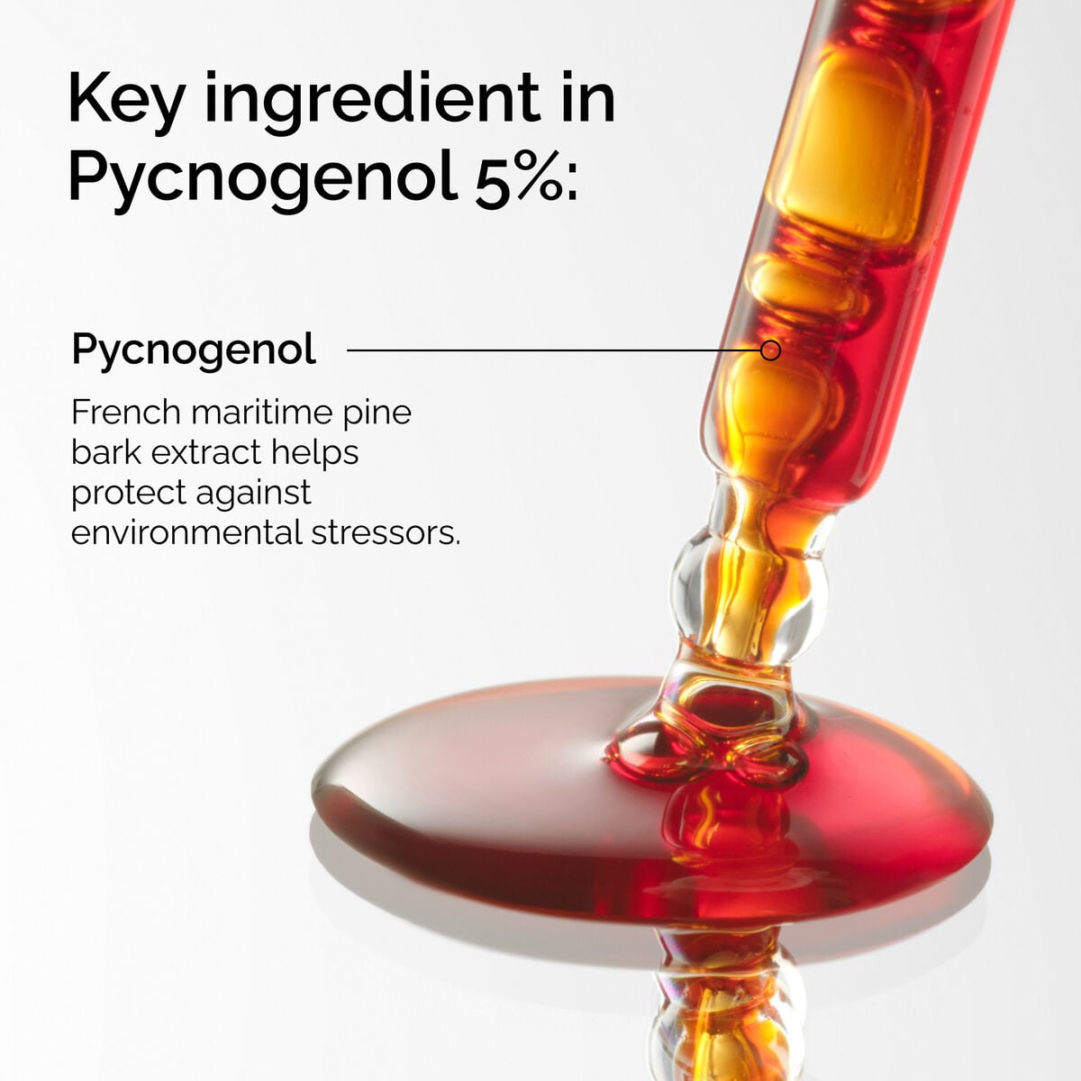 pycnogenol-5-o0 FY25-D41247-ORD-Web-PDP-Pyc-5pct-1x1-EN-2a.jpg