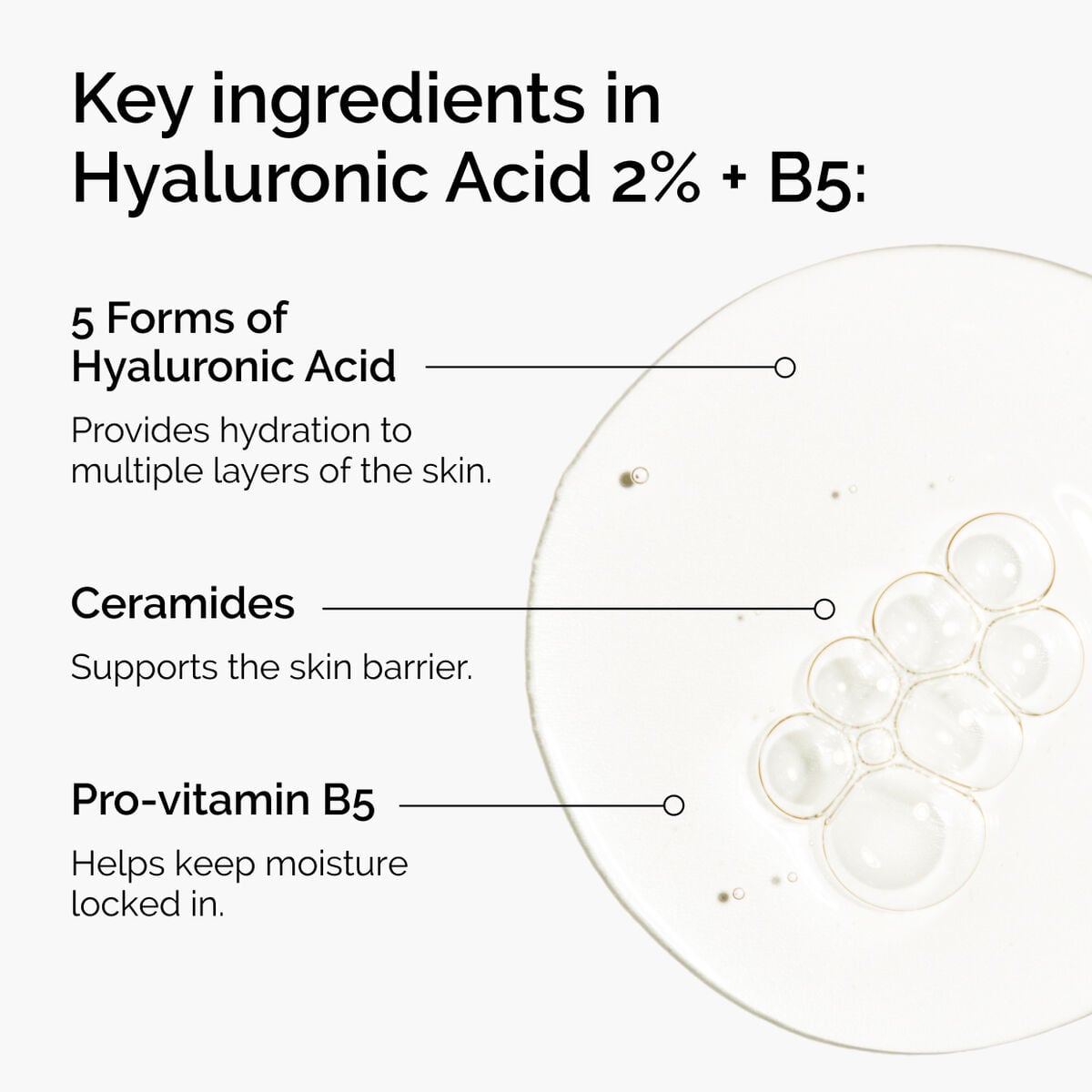 hyaluronic-acid-2-b5-with-ceramides-s9 ord-hyaluronic-acid-2pct-b5-hydrating-serum-ingredients-graphic.jpg