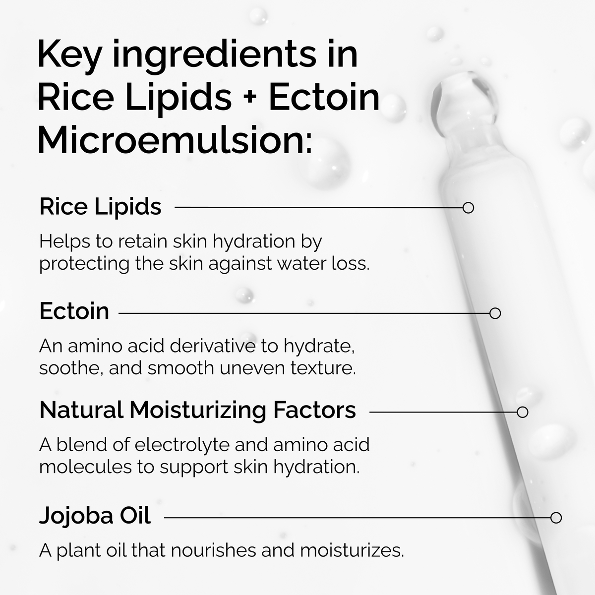 rice-lipids-ectoin-microemulsion-m4 ord-rice-lipids-ectoin-microemulsion-key-ingredients.png
