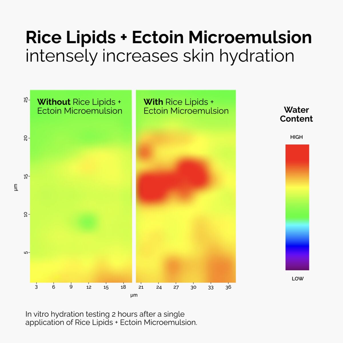rice-lipids-ectoin-microemulsion-m4 ord-rice-lipids-ectoin-microemulsion-thermal-before-after.jpg